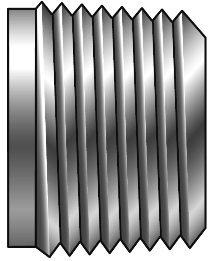 Hollow Hex Plug NPT